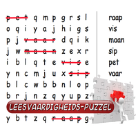 Leesvaardigheids puzzel Susan Spekschoor